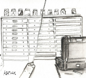 0907 collection