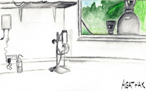 1007 bouteille CO2