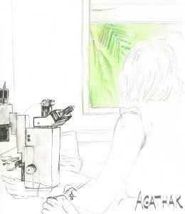 1007 microscope
