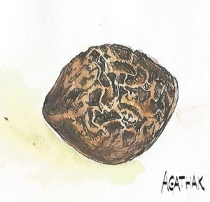 0408 TAMANU
