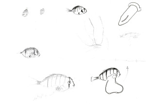manini